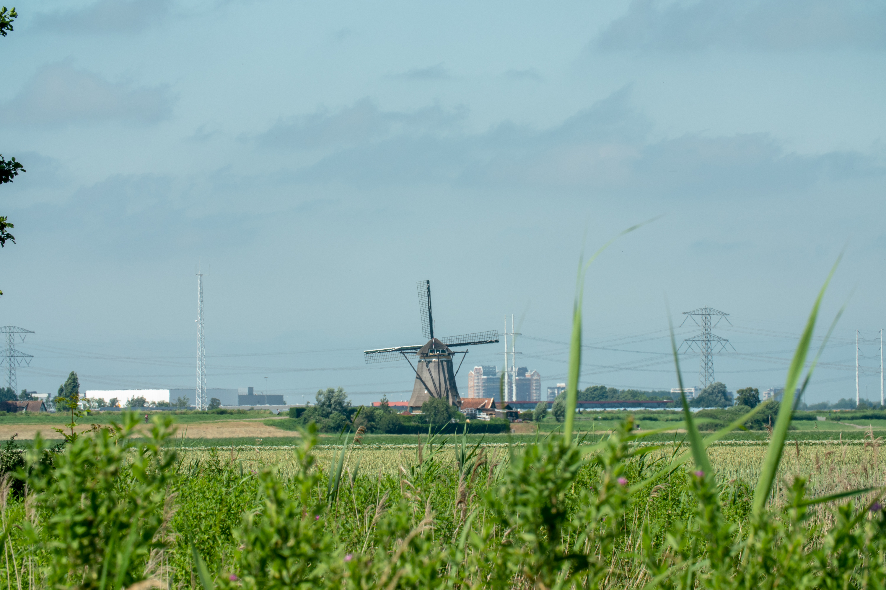 1 van de 4 prachtige molens van de Molenviergang